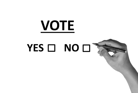 vote-2042580_1280
